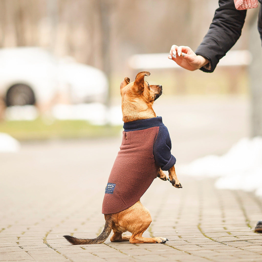 POLAROVELOVE | Polar dla psa | Bluza Raglan | Brązowy Granatowy - Doggo Doggo